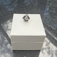 Charm anhänger silber gebraucht kaufen  Hameln