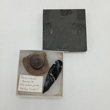 obsidian arrowheads for sale  FLEET