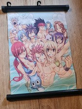 Fairy tail poster gebraucht kaufen  Osterberg