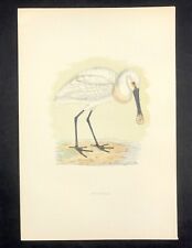 Original print morris for sale  BOURNE END