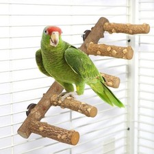 Bird ladder perch for sale  SALFORD