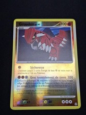 Groudon 146 reverse d'occasion  Fresnay-sur-Sarthe