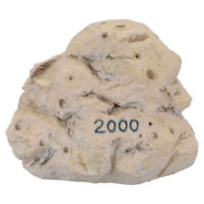 Mondgestein 2000 601659e gebraucht kaufen  Kappeln