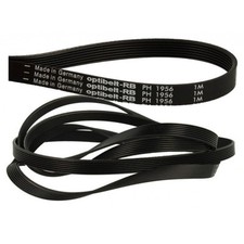 esky belt usato esky belt usato Aci Sant Antonio