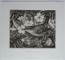 Original etching robin for sale  SOUTHAMPTON