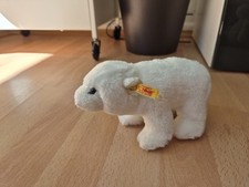 Steiff eisbär arco gebraucht kaufen  Hamburg