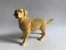 Leonardo golden labrador for sale  UK