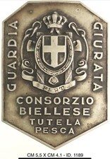 Regno italia guardia usato  Milano
