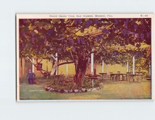 Postcard giant grape for sale  Stevens Point