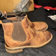 Born men hemlock for sale  Tuscaloosa