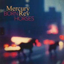 Born horses mercury for sale  ROSSENDALE