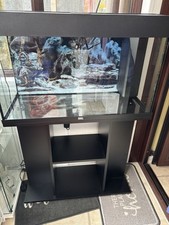 Juwel 125 rio for sale  STOKE-ON-TRENT