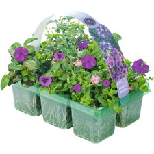 Purple shades mix for sale  UK