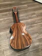 Giannini awn classical for sale  Greenville