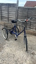 Ladies trike for sale  BANWELL