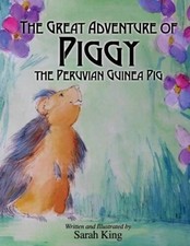 Great adventures piggy for sale  Montgomery