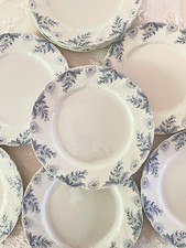 Assiettes plates terre d'occasion  Nogent-sur-Marne