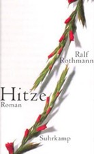 Hitze roman roman gebraucht kaufen  Seesen