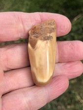 Alaskan inuit artifact for sale  Florence