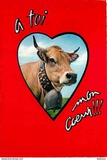 Animaux vaches carte d'occasion  Fruges