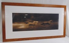 Michael eastman horse for sale  USA