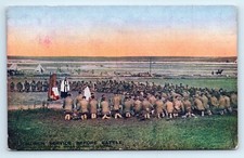 Postcard wwi daily for sale  LLANFAIRFECHAN