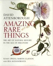 Amazing rare things for sale  USA