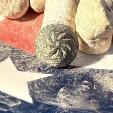 Dug civil war for sale  Fairfax