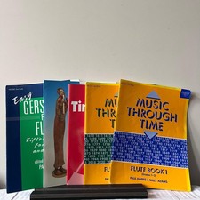 Flute beginner level for sale  SUNDERLAND