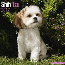 Calendrier 2017 shih d'occasion  Troyes
