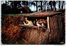 Landes palombiere d'occasion  France