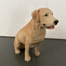 Northlight labrador retriever for sale  BIRMINGHAM