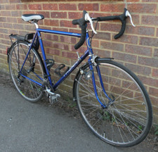59cm thorn audax for sale  BANBURY