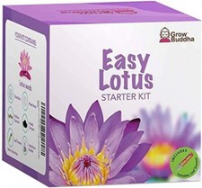 Grow lotus plant for sale  EDGWARE