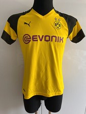 Bvb borussia dortmund gebraucht kaufen  Berngau