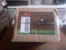 Cat grass kit for sale  SOUTHEND-ON-SEA