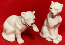 Pair white tiger for sale  Deltona