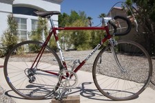 1983 colnago nuovo for sale  Palm Springs