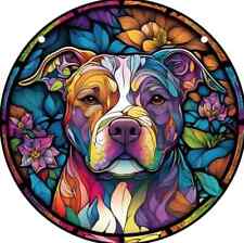 Staffordshire bull terrier for sale  LONDON