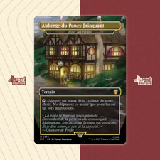 Carte magic seigneur d'occasion  Aucamville