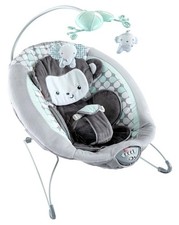 Baby bouncer seat for sale  Albany