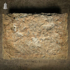 Large riven flagstone for sale  NORWICH