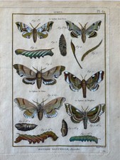 Papillons sphinx encyclopédie d'occasion Papillons sphinx encyclopédie d'occasion  Paris VI