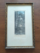 Vintage birch tree for sale  Jamestown