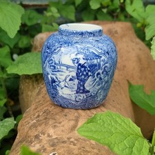 Blue white oriental for sale  HUNTINGDON