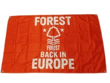 Nottingham forest back for sale  SOUTHAMPTON