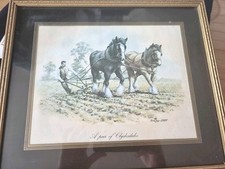Pair clydesdales seerey for sale  BASINGSTOKE