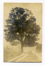 LaFayette NY, faixa de carrinho por Big Maple, cartão postal 1911 RPPC, Onondaga County comprar usado  Enviando para Brazil