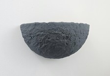Swallow nest cup for sale  FOWEY