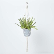 Artificial hanging basket for sale  CRADLEY HEATH
